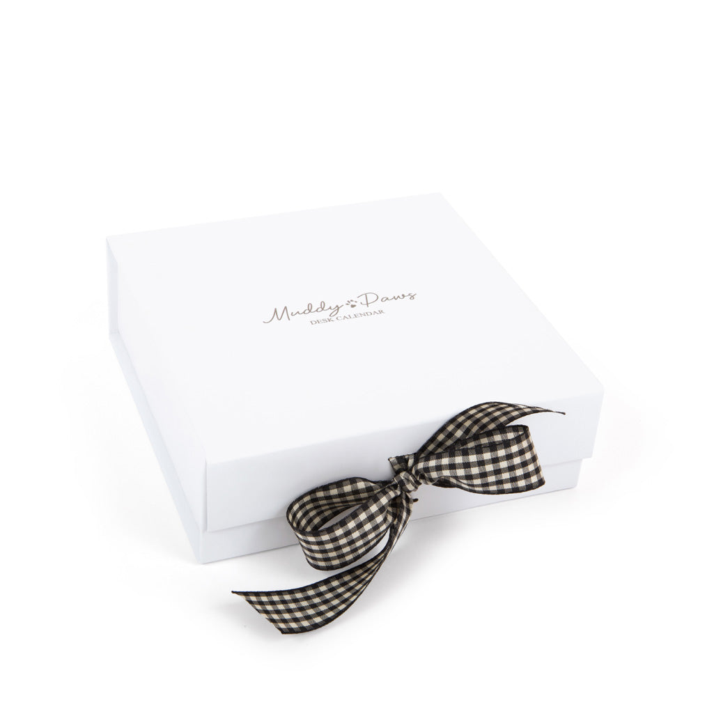 English Springer Spaniel 2025 Desk Calendar