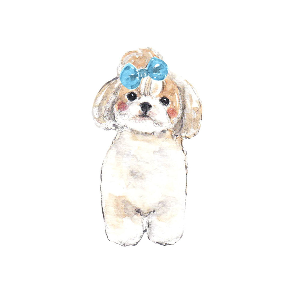 Shih Tzu 2025 Desk Calendar