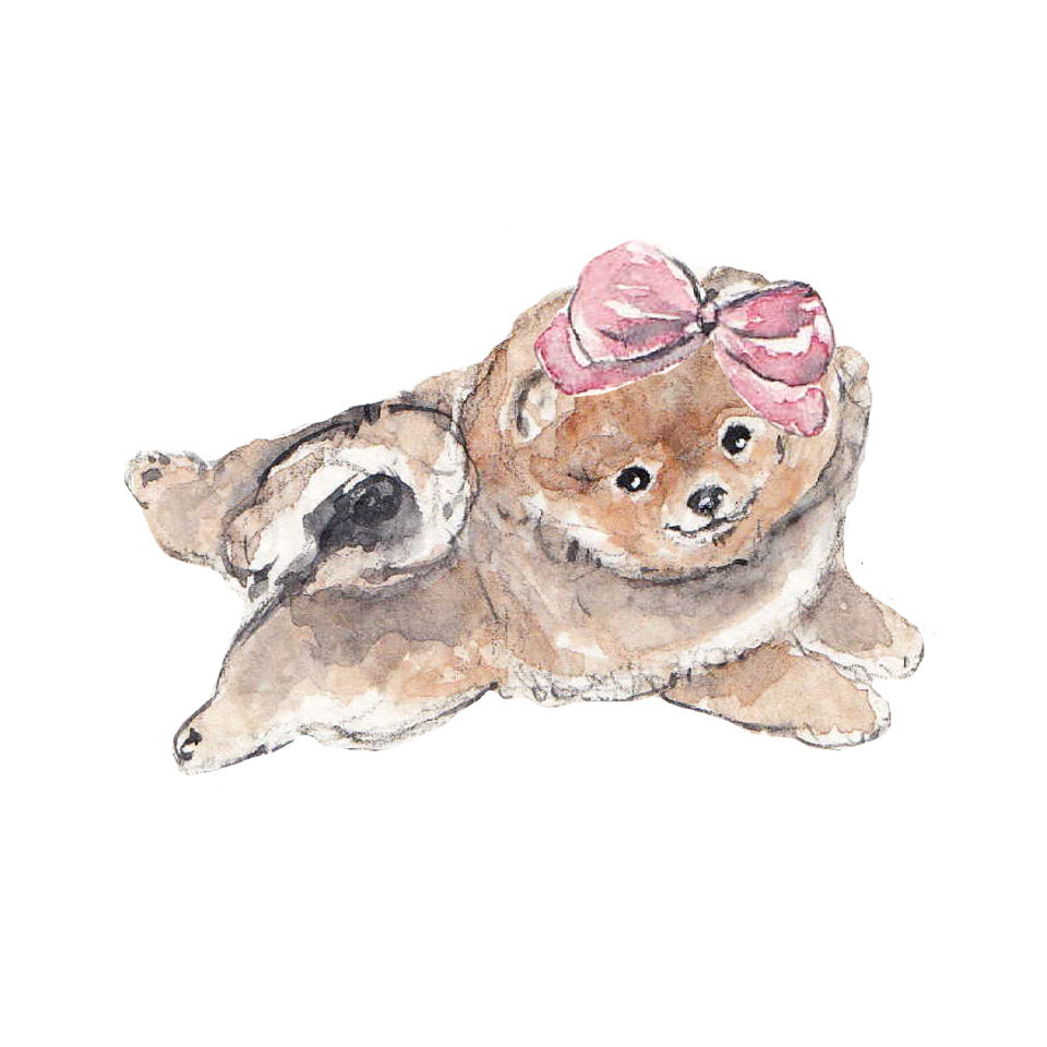 Pomeranian 2025 Desk Calendar