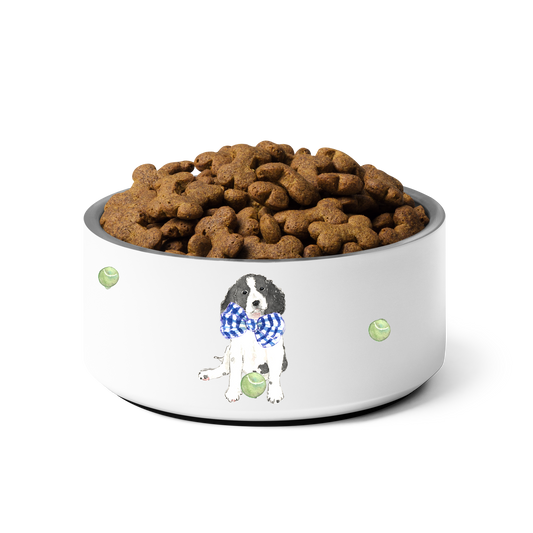 English Springer Spaniel (Black/White) Food Bowl - Tennis Balls