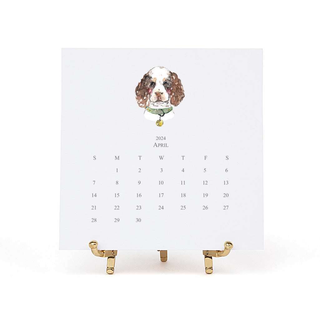 English Springer Spaniel 2025 Desk Calendar