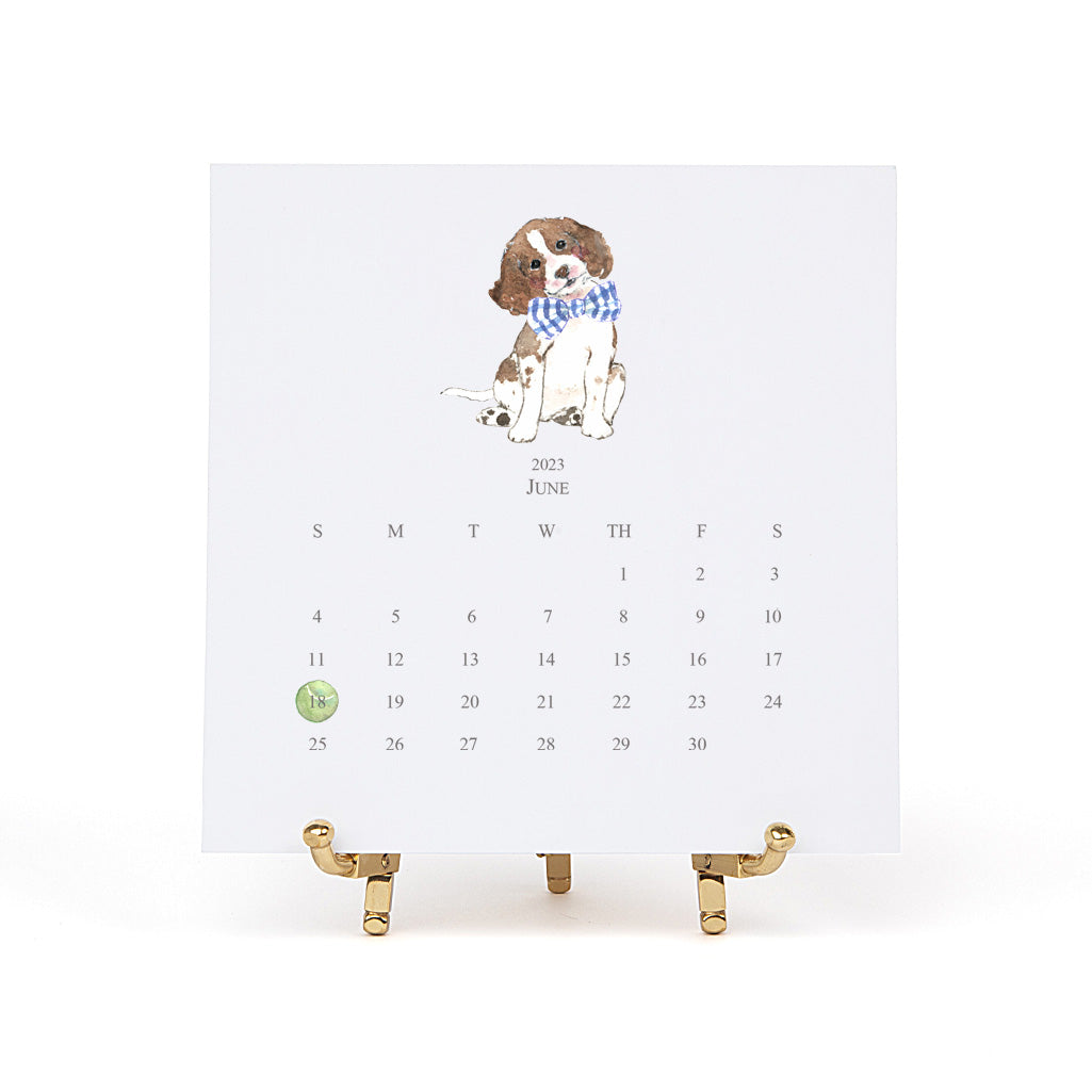 English Springer Spaniel 2025 Desk Calendar