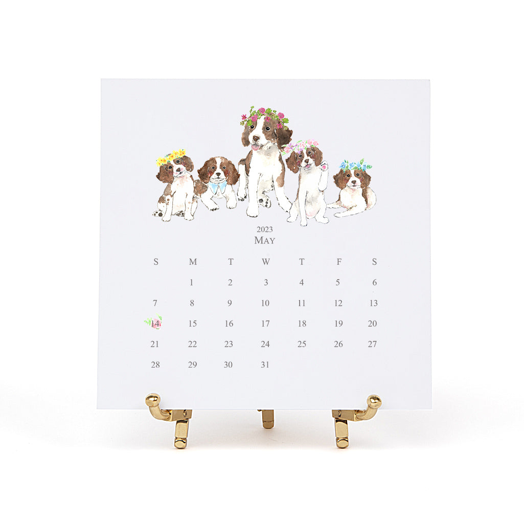 English Springer Spaniel 2025 Desk Calendar