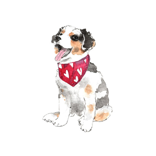 Australian Shepherd 2025 Desk Calendar