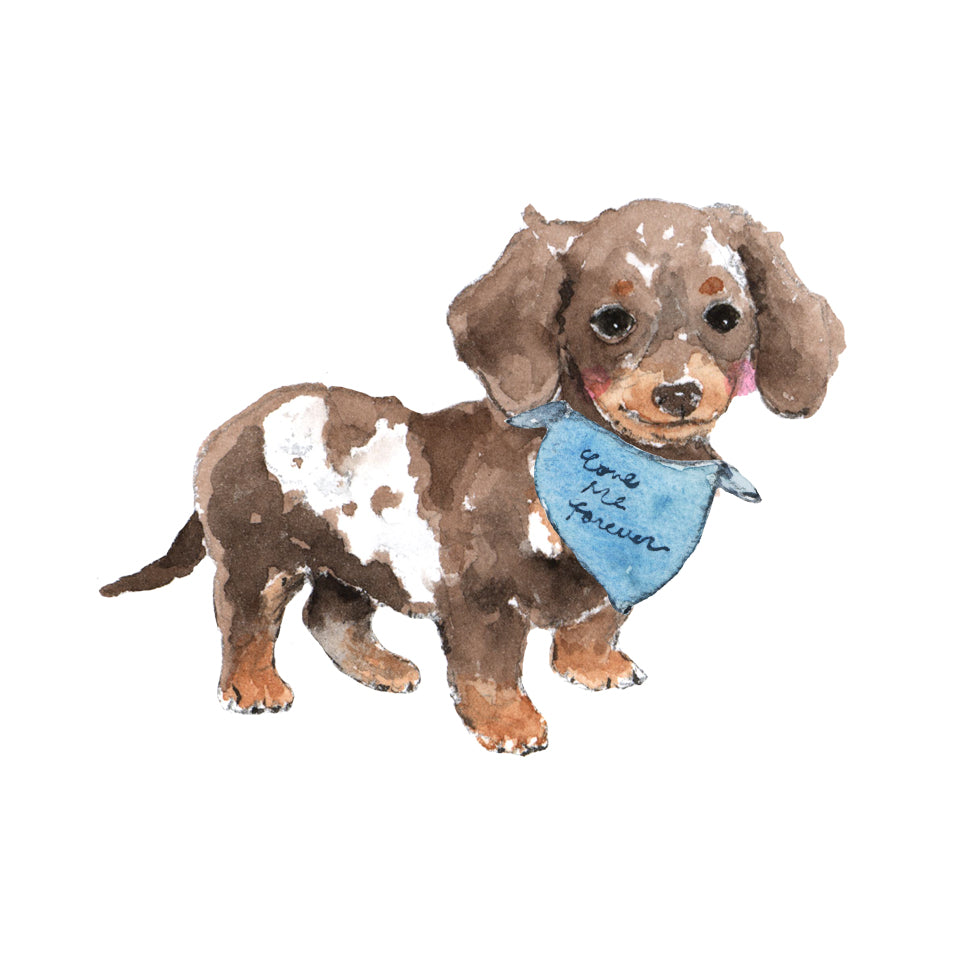 Dachshund 2025 Desk Calendar