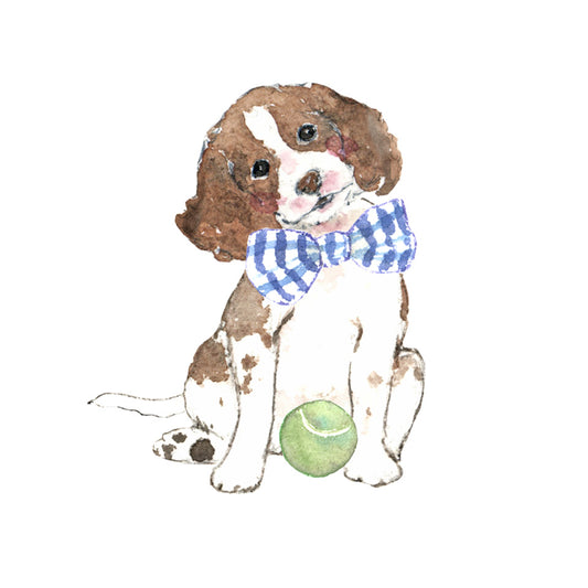 English Springer Spaniel 2025 Desk Calendar